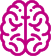 brain